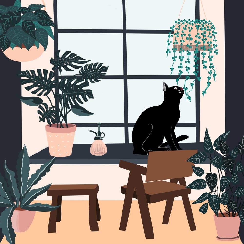 Cats and plants! - image 1 - student project