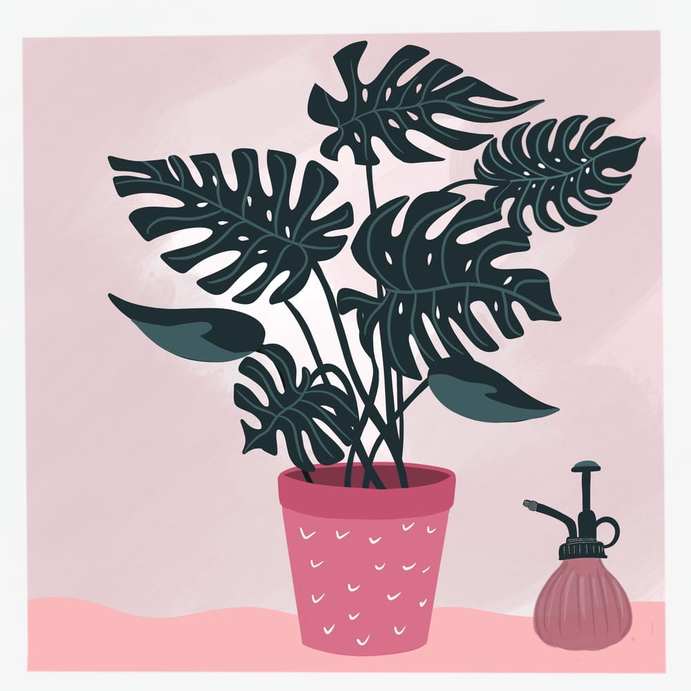 Cats and plants! - image 3 - student project