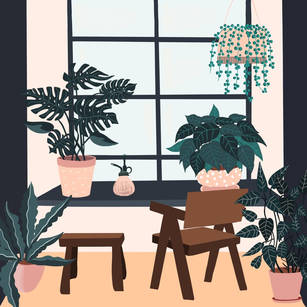 Cats and plants! - image 4 - student project
