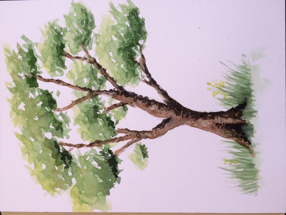 Quick tryout of the ABC trees - image 2 - student project