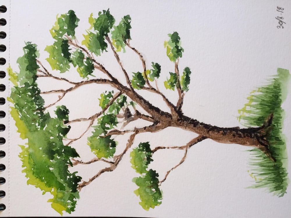 Quick tryout of the ABC trees - image 4 - student project
