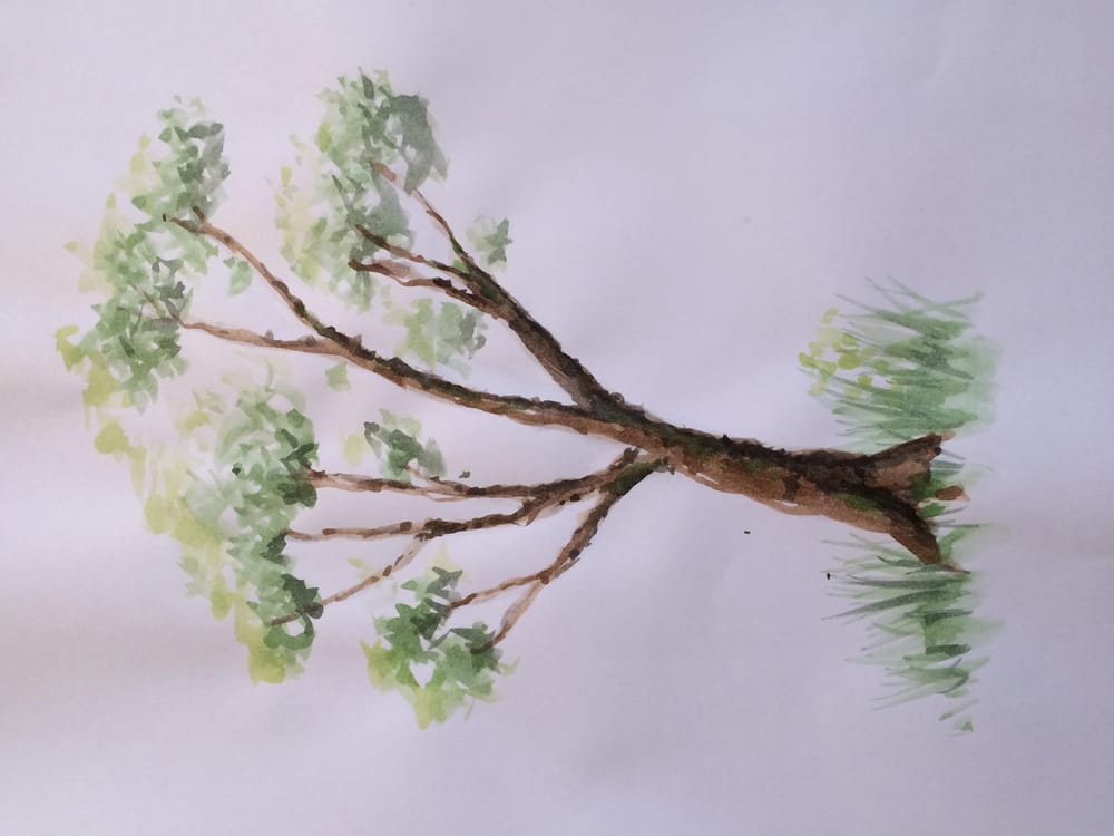 Quick tryout of the ABC trees - image 1 - student project