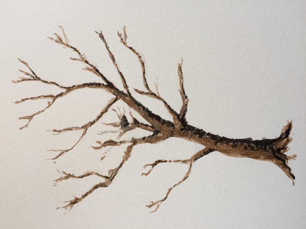 Quick tryout of the ABC trees - image 3 - student project