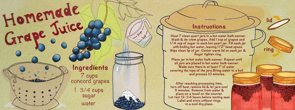 Homemade Grape Juice - image 1 - student project