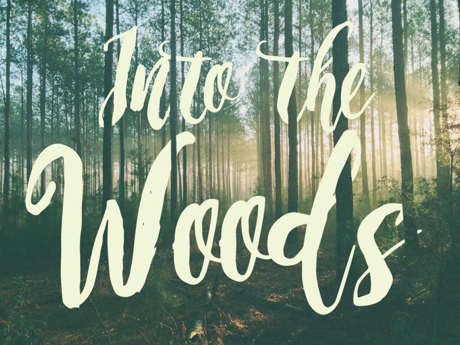 Lettering in the Wild - image 6 - student project