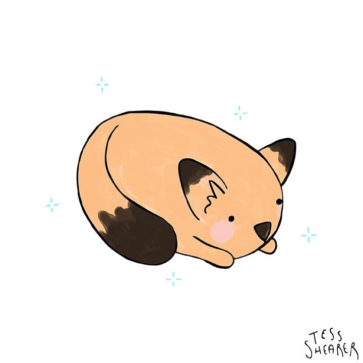 Cute Animals x8 - image 6 - student project