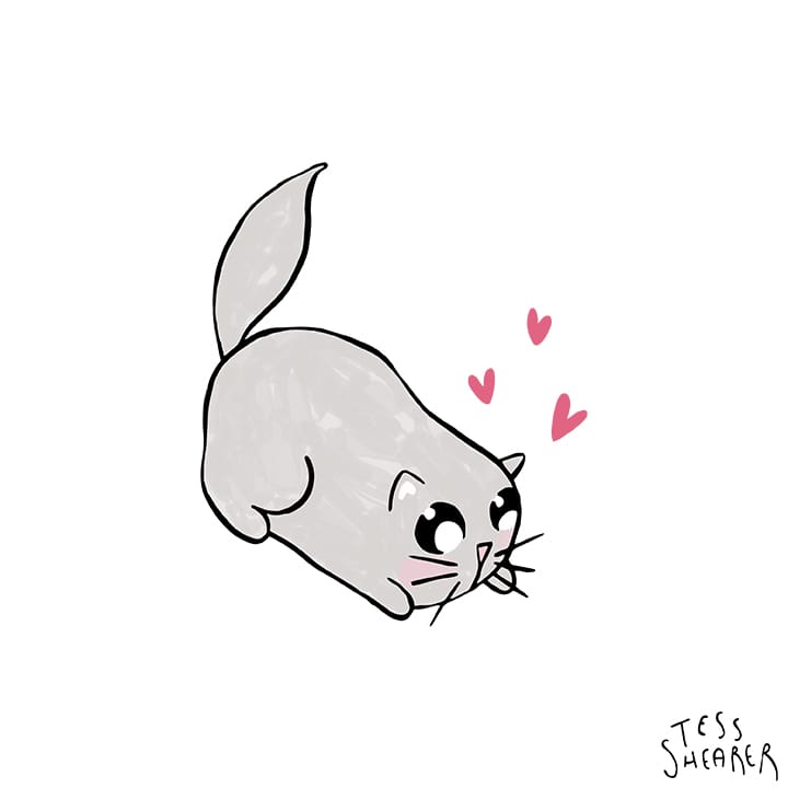 Cute Animals x8 - image 4 - student project