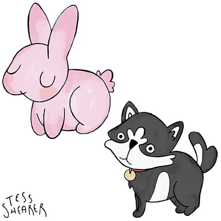 Cute Animals x8 - image 1 - student project