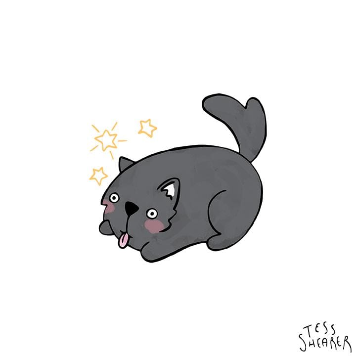 Cute Animals x8 - image 3 - student project