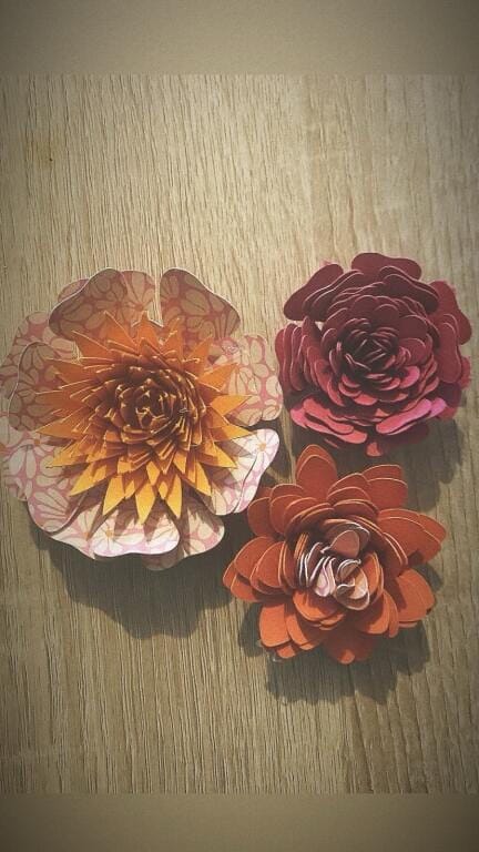 Flowers - image 1 - student project