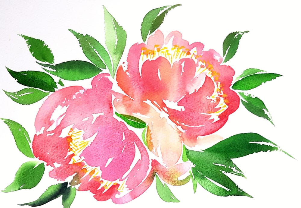 Peonies - image 1 - student project