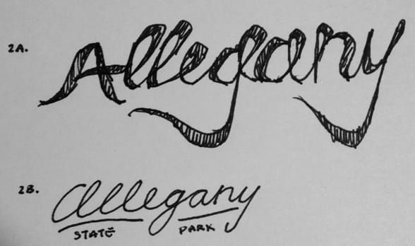Allegany State Park - image 3 - student project