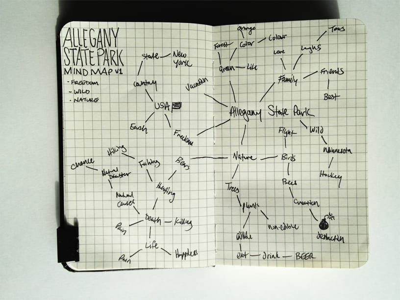 Allegany State Park - image 1 - student project