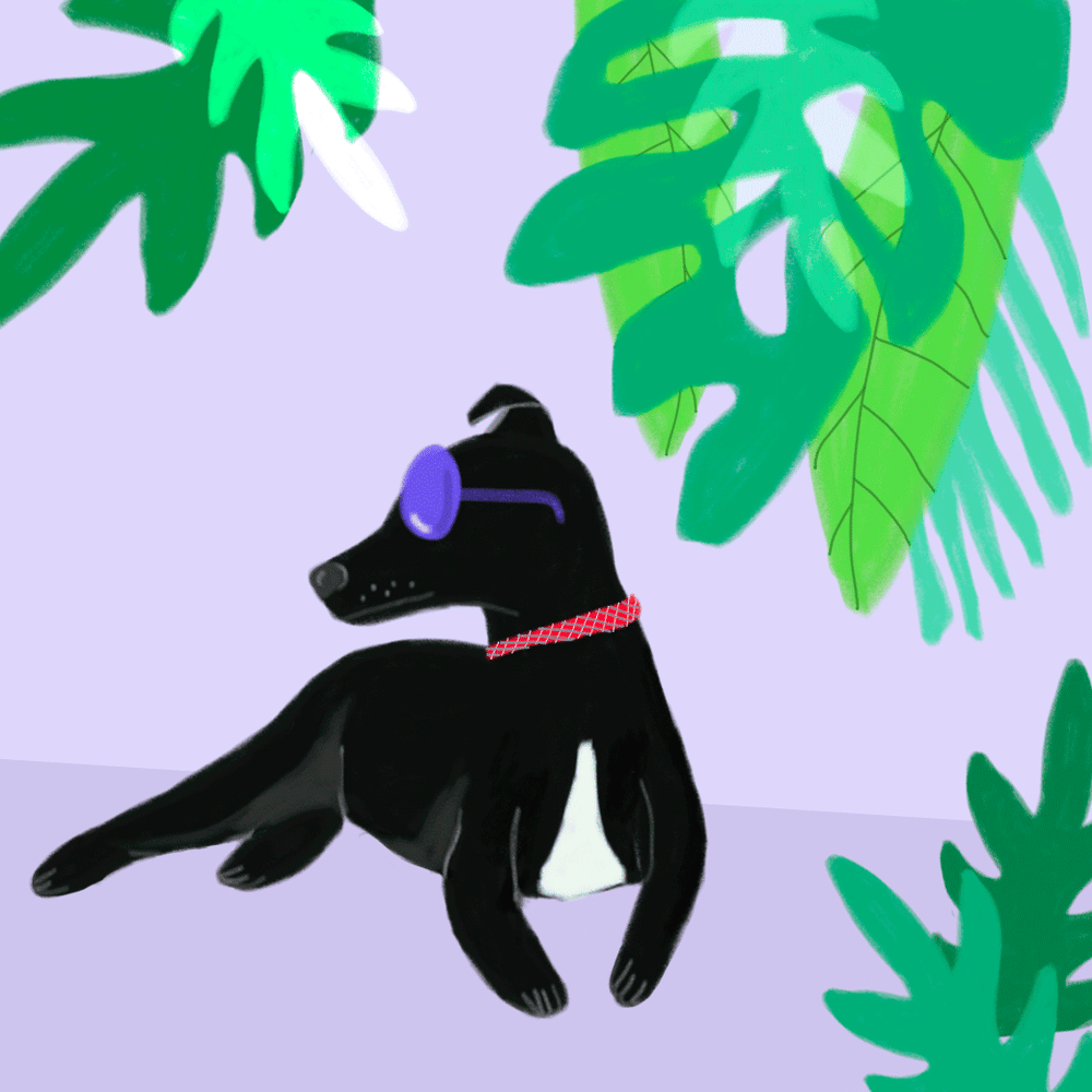 Would dogs wear sunglasses this way? - image 1 - student project