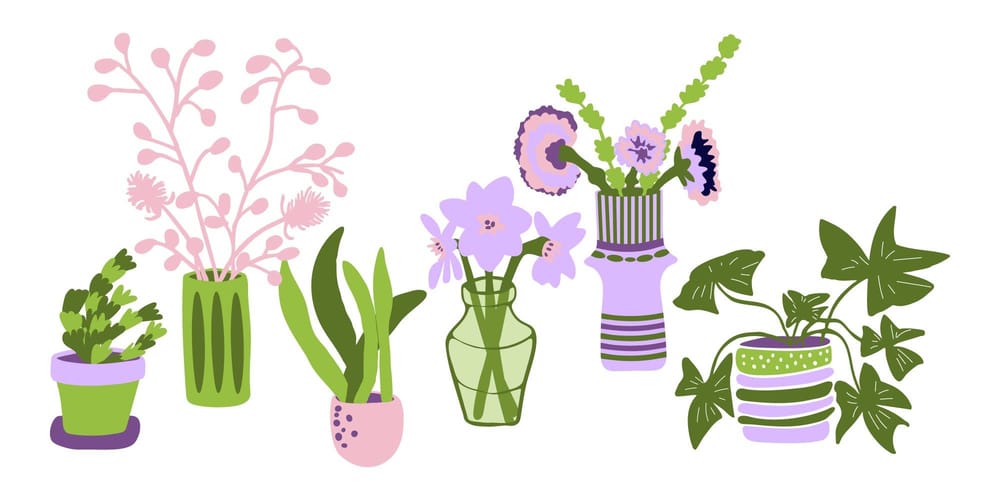Plants and More Plants - image 1 - student project