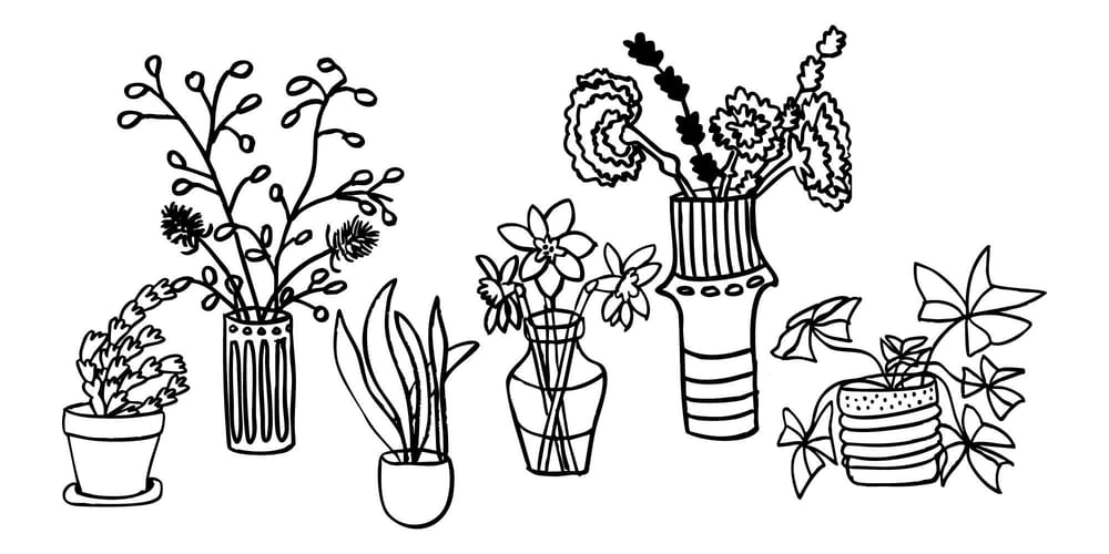 Plants and More Plants - image 2 - student project