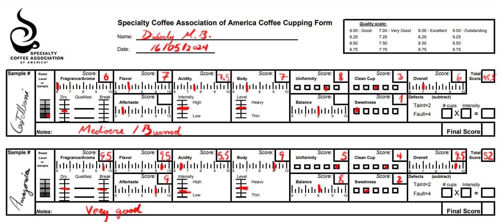 Peruvian coffee - image 1 - student project