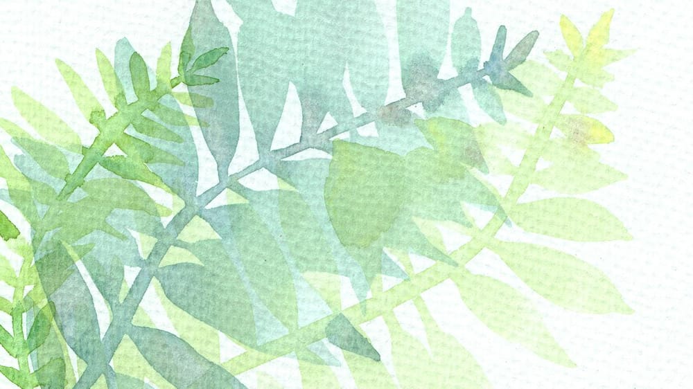 Mindful leaves in my favourite colours - image 2 - student project