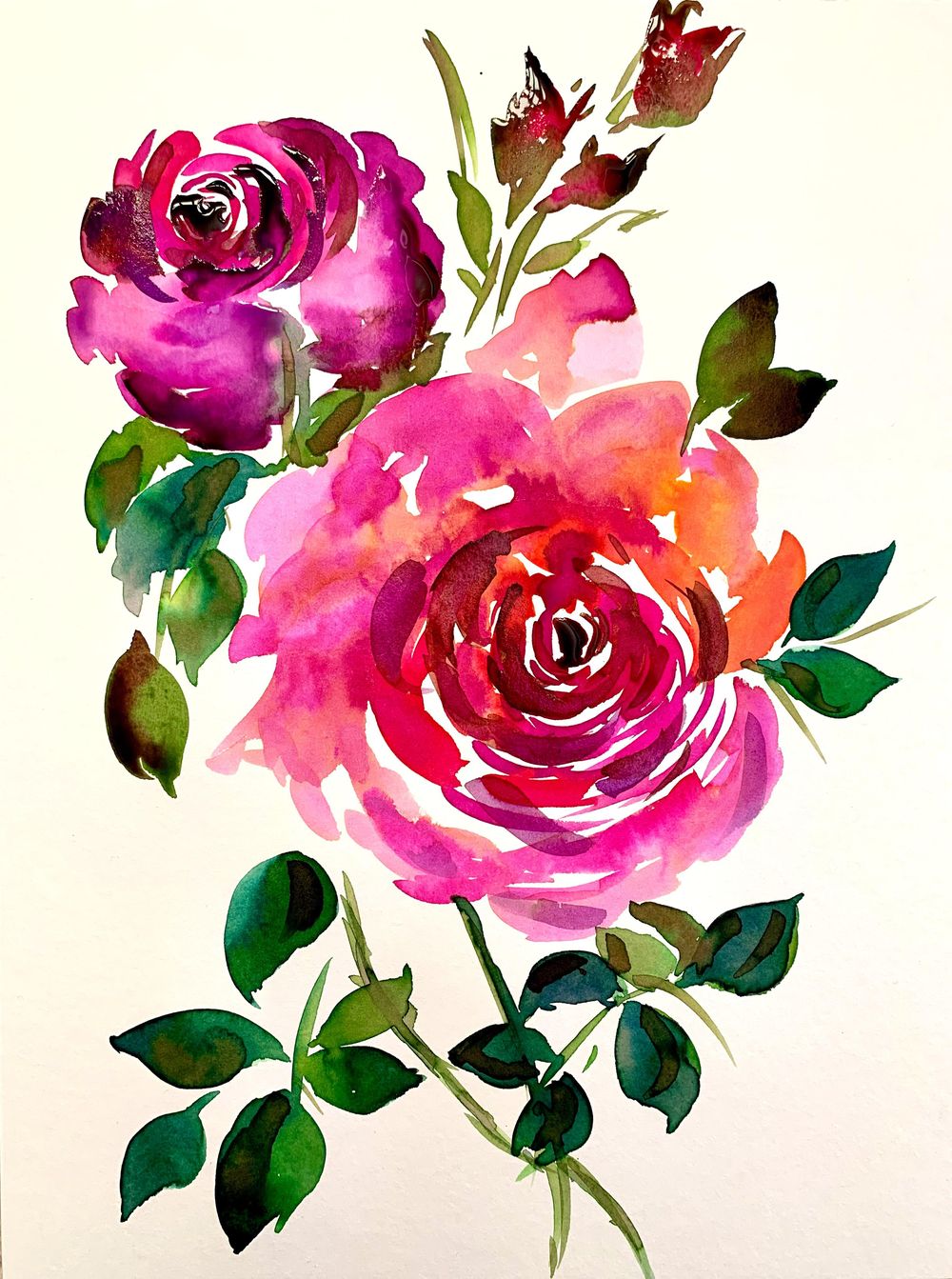 Poppies and Roses - image 1 - student project