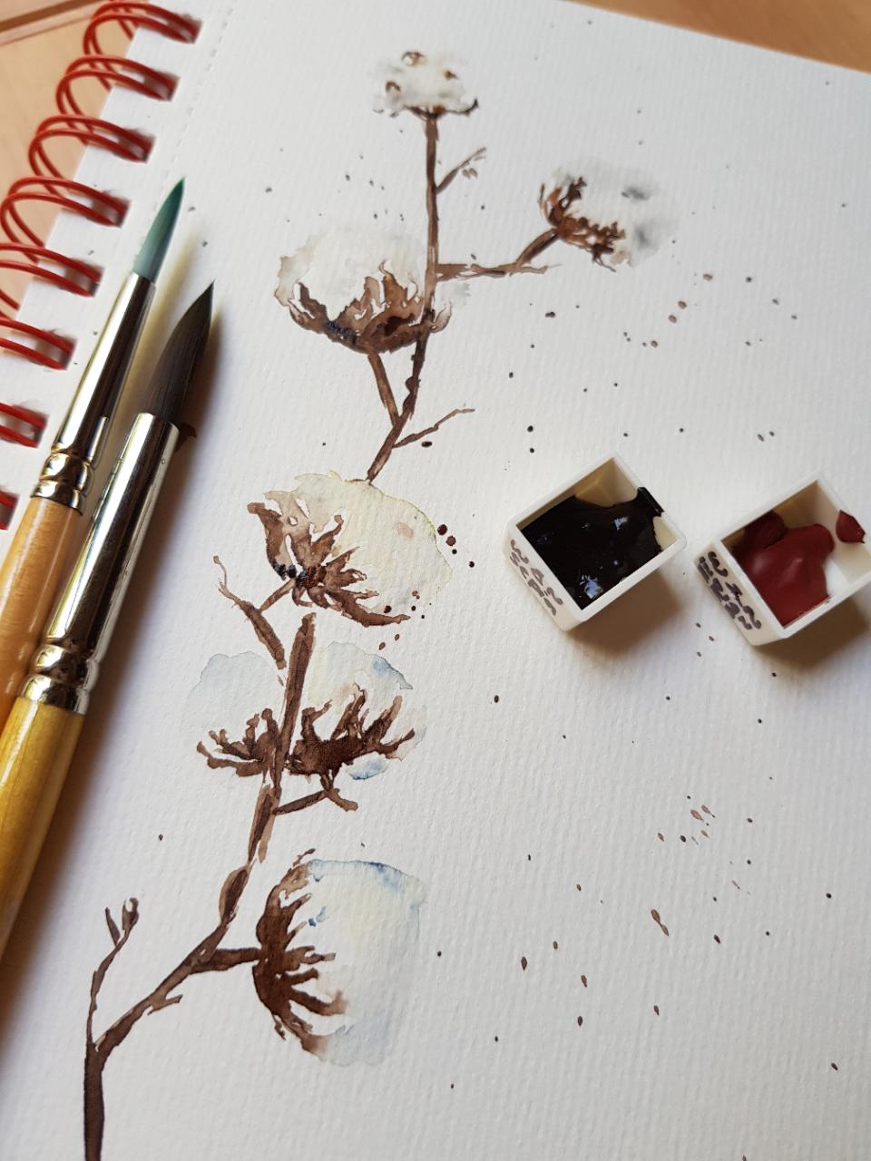 Cotton Flowers - image 1 - student project