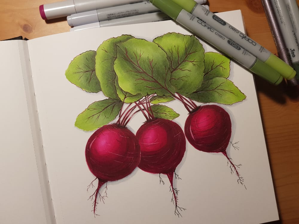 Veges with alcohol markers - image 2 - student project