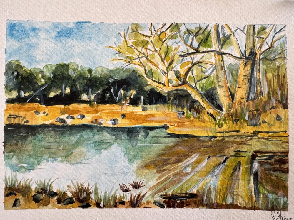 Loose Natural Landscape - image 1 - student project