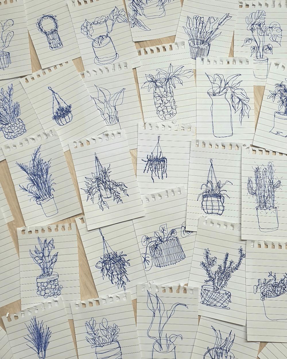 Blind Plant Drawings - image 1 - student project