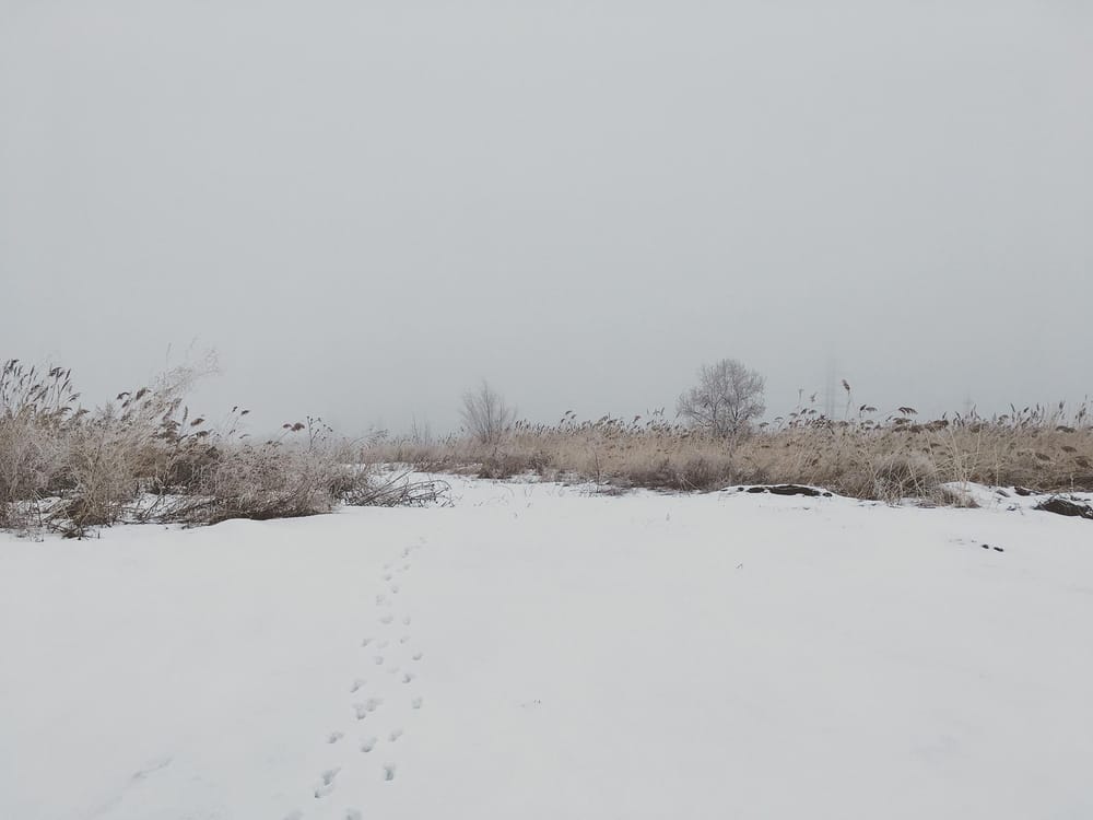31st of December morning - image 4 - student project