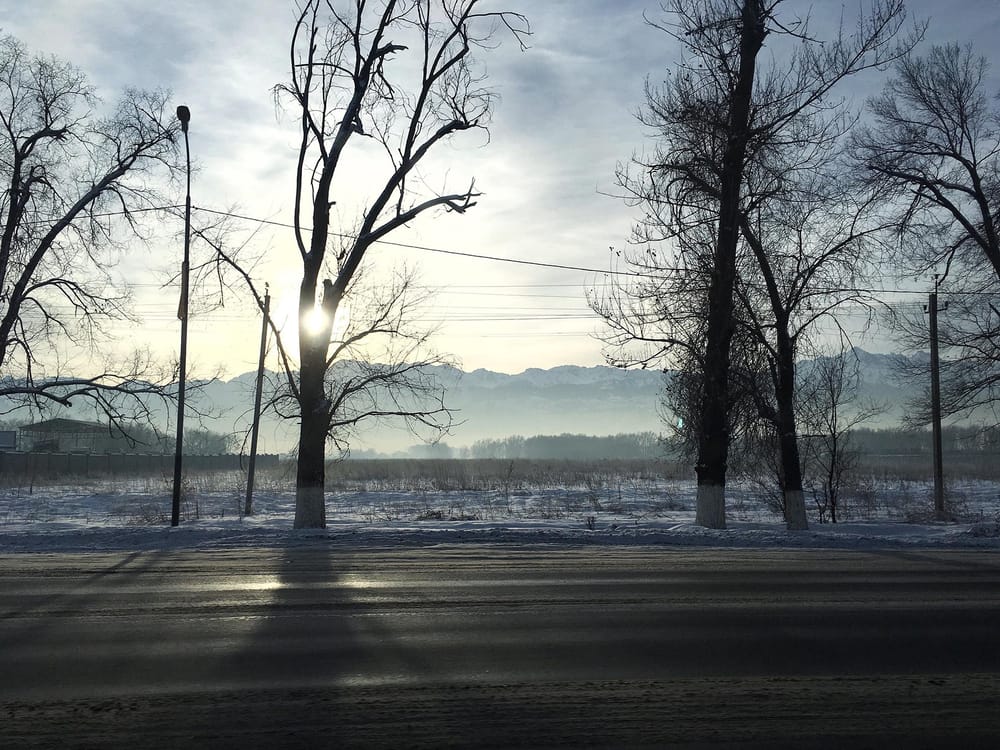 31st of December morning - image 6 - student project
