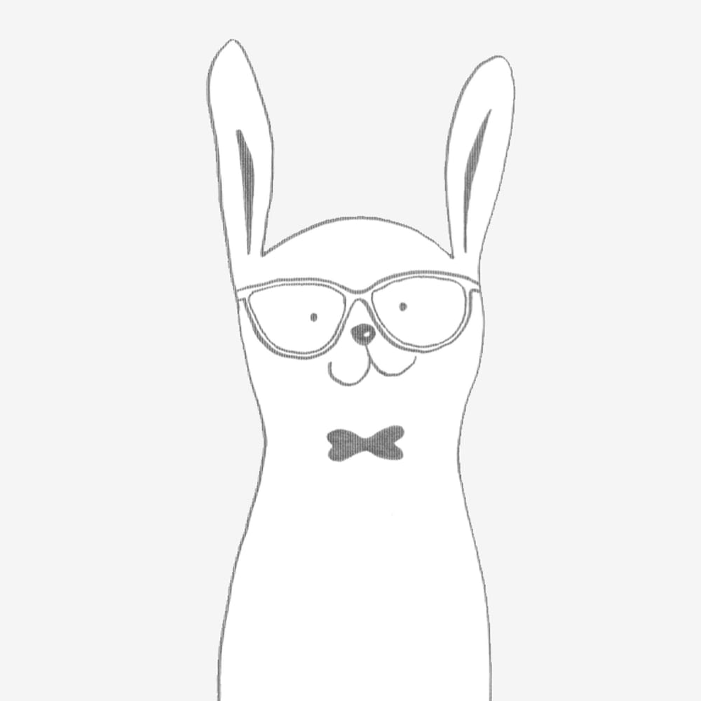 Mr Rabbit - image 1 - student project