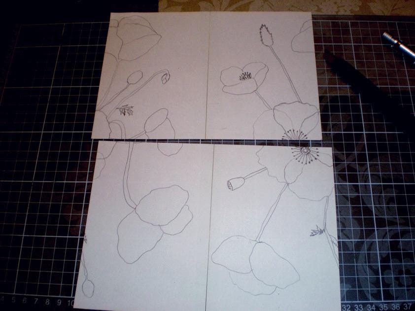 Poppies - image 3 - student project