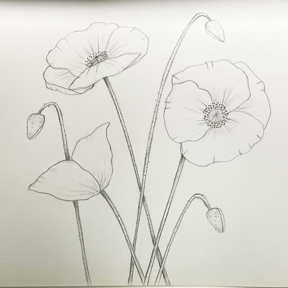 My flowers - image 4 - student project