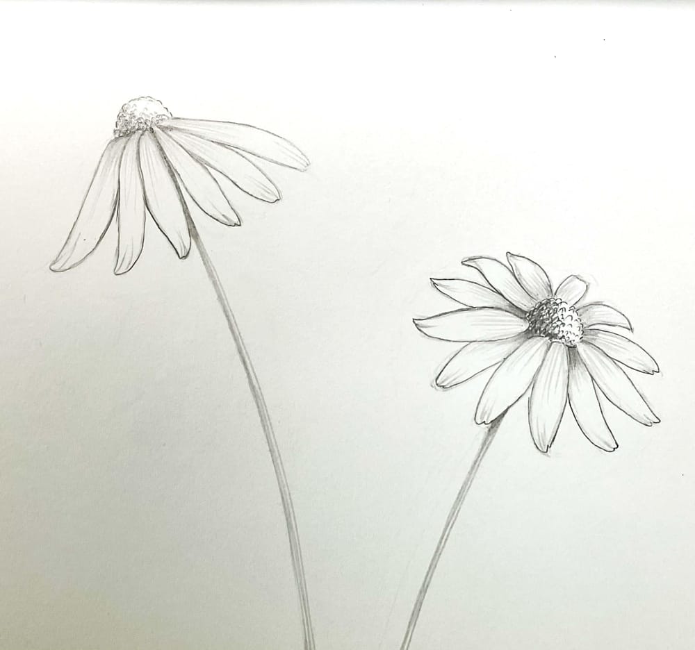 My flowers - image 3 - student project