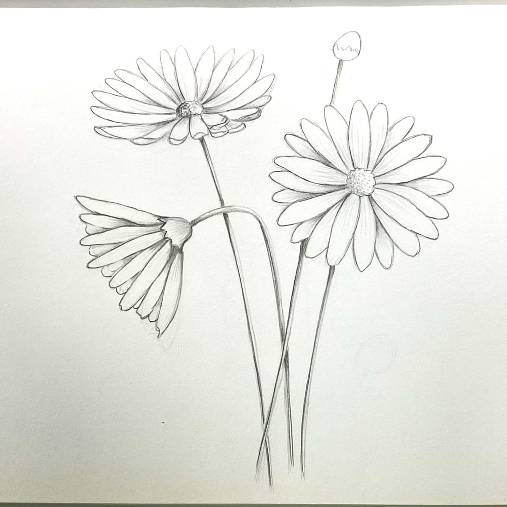 My flowers - image 2 - student project