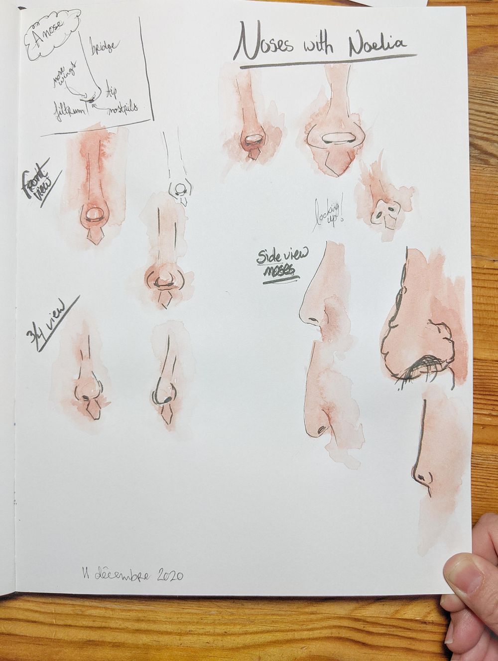Drawing noses with Noelia - image 2 - student project