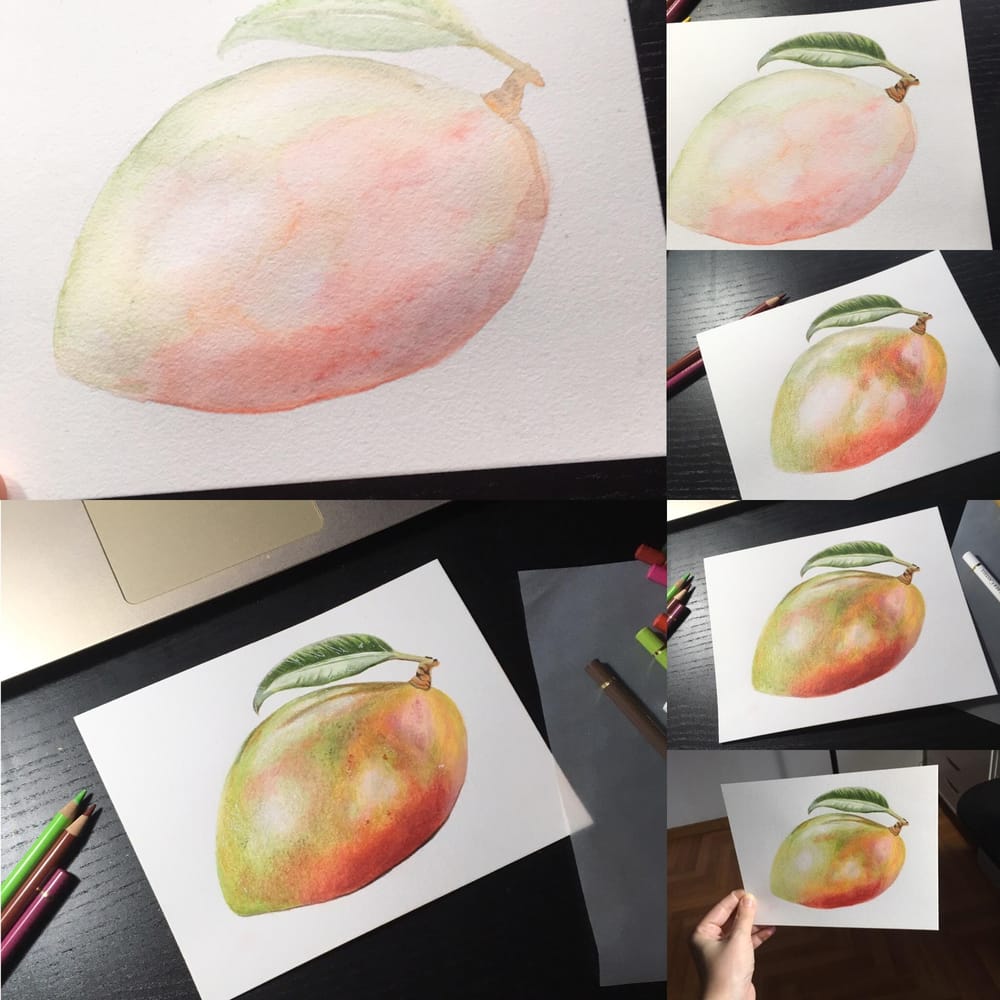 Mixed Media Mango - image 1 - student project