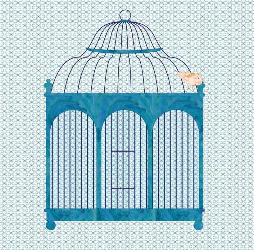 Vintage Birdcage - image 1 - student project