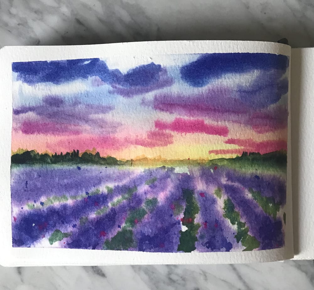 Lavender fields - image 1 - student project