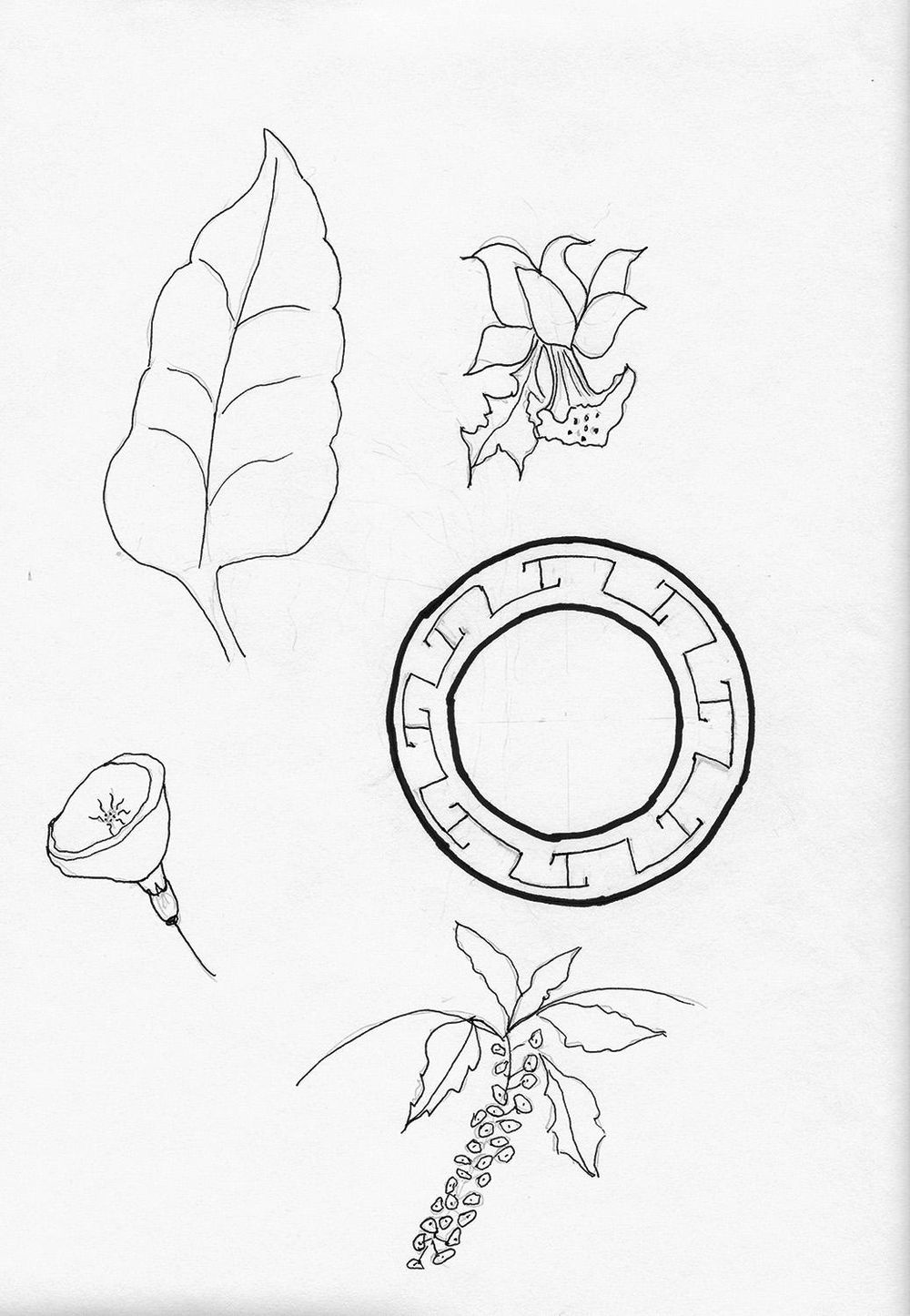 Asian Tropics - image 5 - student project