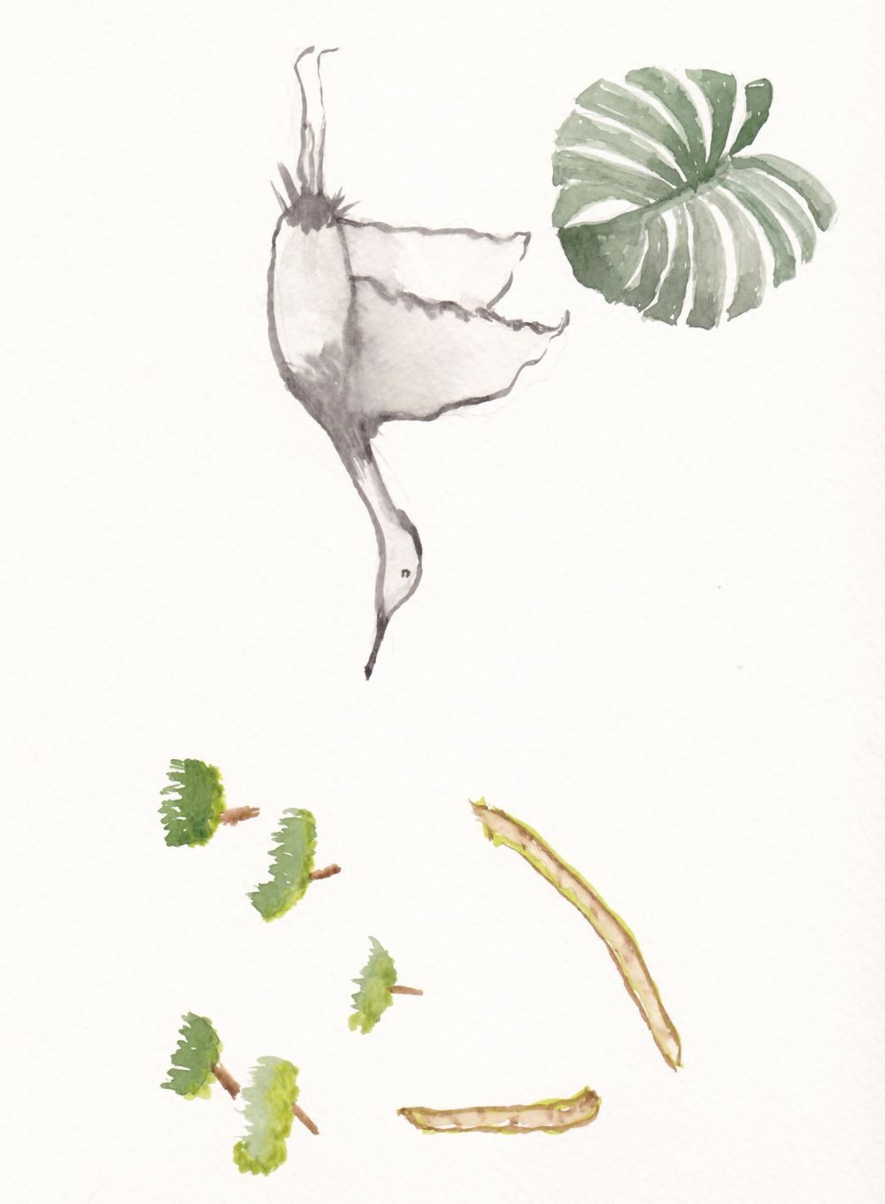 Asian Tropics - image 1 - student project