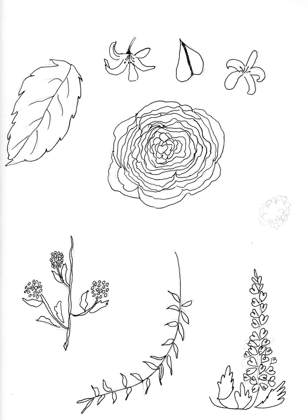 Asian Tropics - image 11 - student project