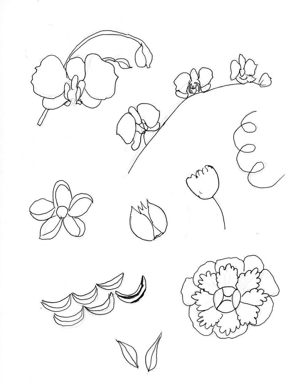 Asian Tropics - image 6 - student project