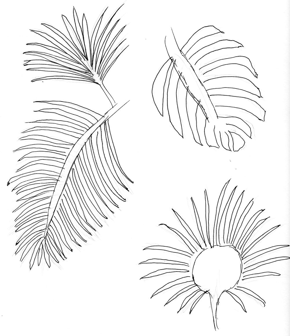 Asian Tropics - image 7 - student project
