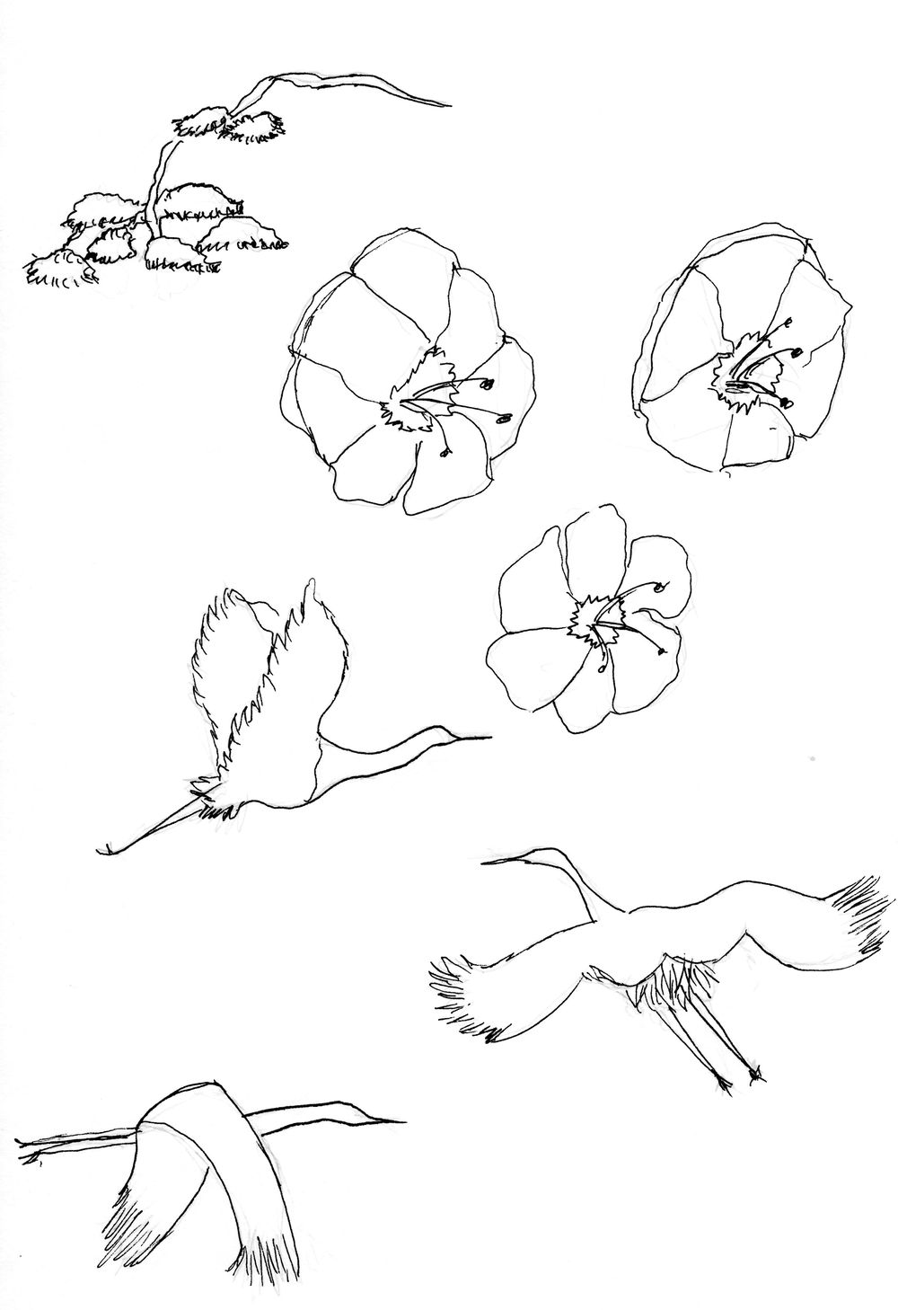 Asian Tropics - image 8 - student project