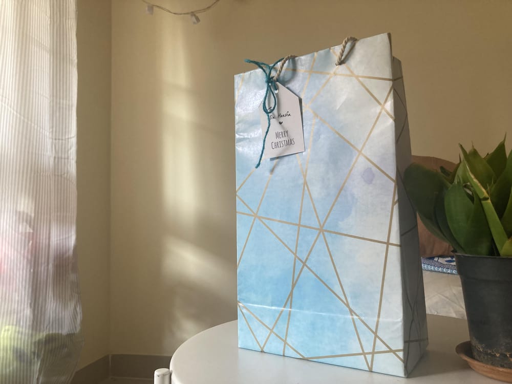 My Paper Gift Bags - image 1 - student project