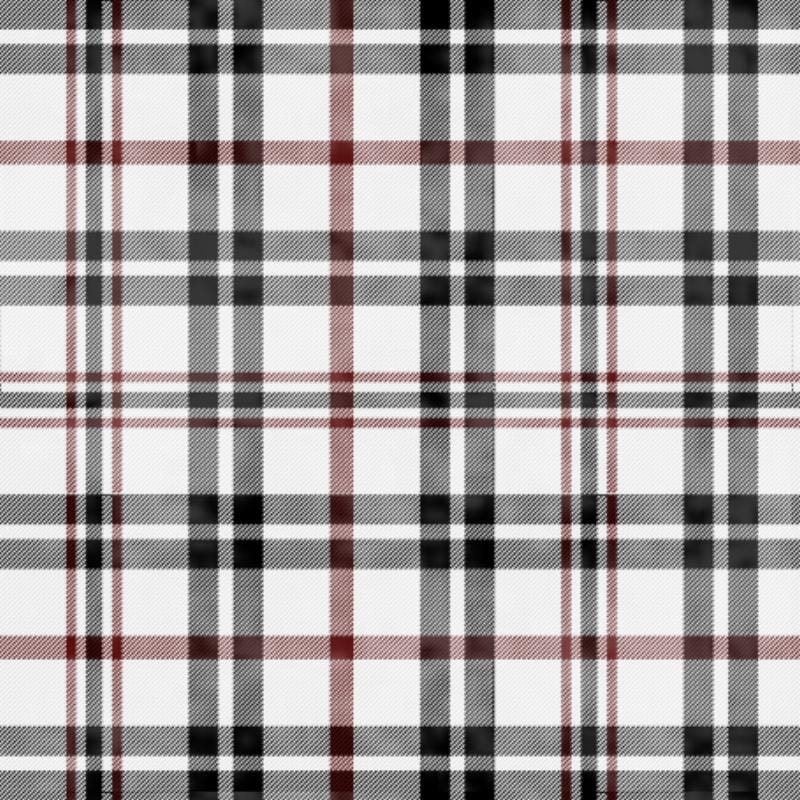 Black, Red & White Plaid - image 2 - student project