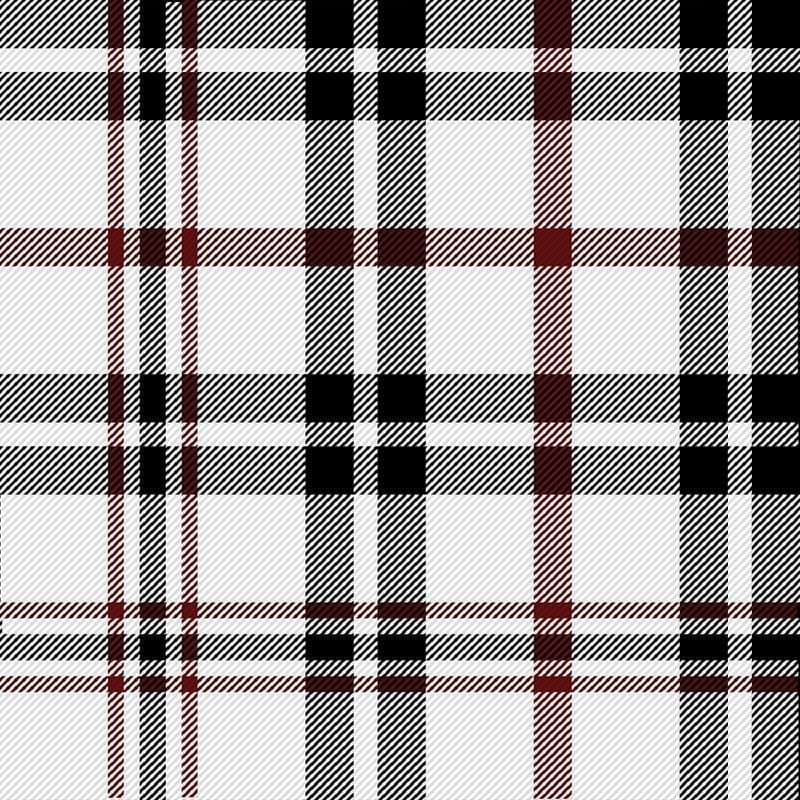 Black, Red & White Plaid - image 1 - student project
