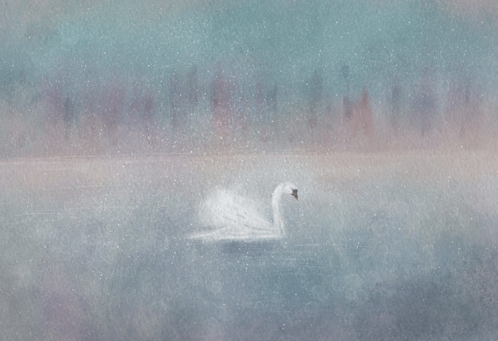 Swan lake - image 1 - student project