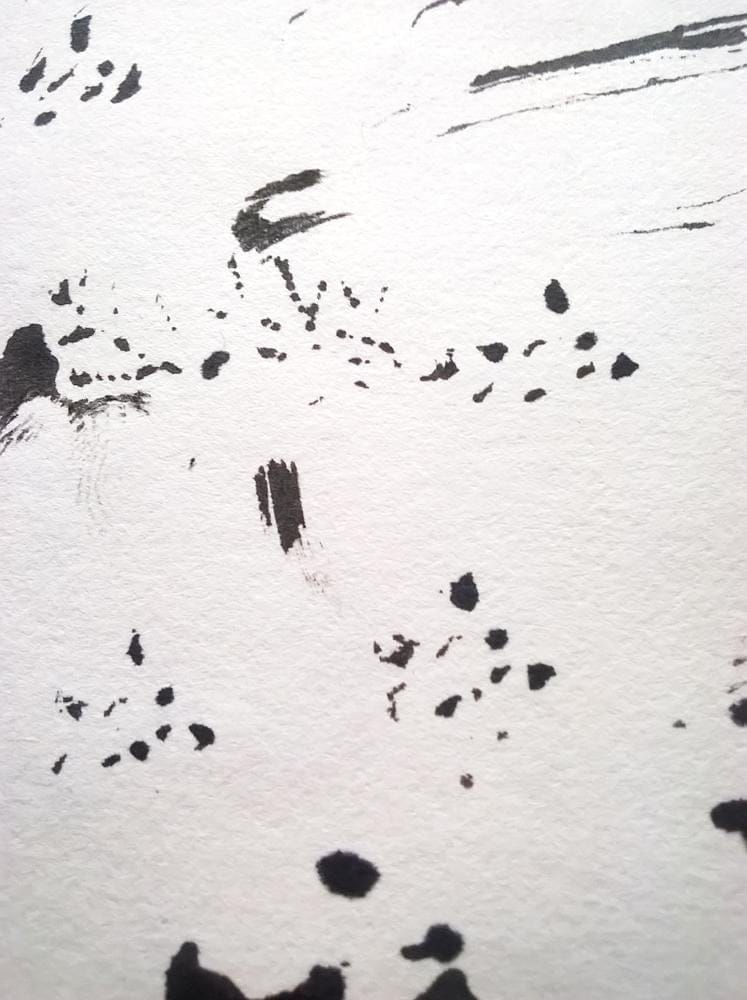 ink and patterns :)  - image 23 - student project