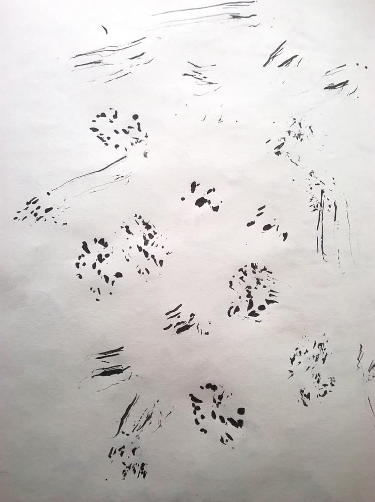 ink and patterns :)  - image 22 - student project